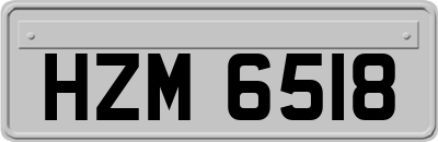 HZM6518