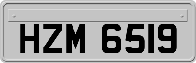 HZM6519