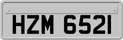 HZM6521