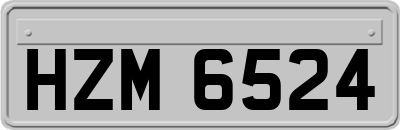 HZM6524
