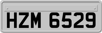 HZM6529