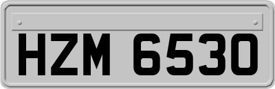 HZM6530