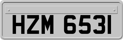HZM6531