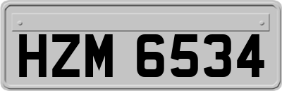 HZM6534