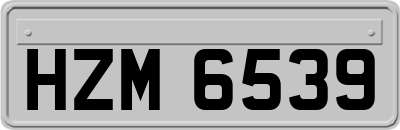 HZM6539