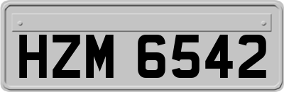 HZM6542