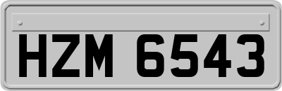 HZM6543