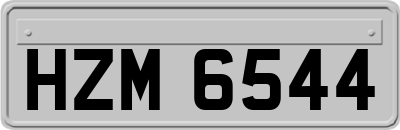 HZM6544