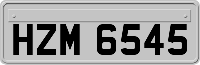 HZM6545