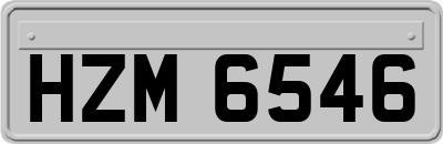 HZM6546