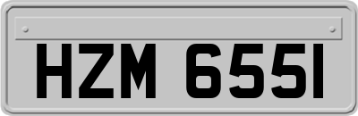 HZM6551