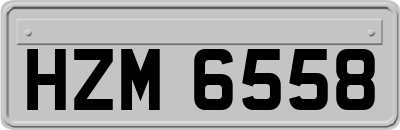 HZM6558
