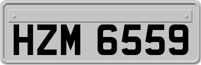 HZM6559