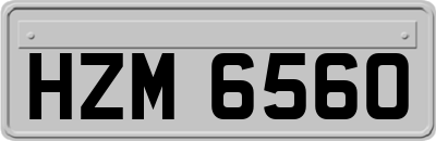 HZM6560