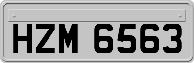 HZM6563