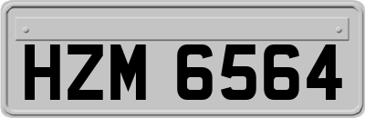HZM6564