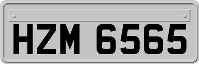 HZM6565