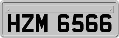 HZM6566