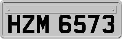 HZM6573