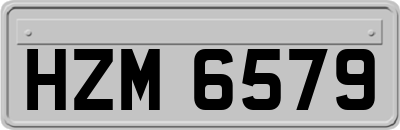 HZM6579