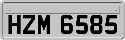 HZM6585