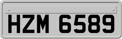 HZM6589