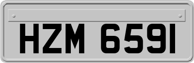 HZM6591