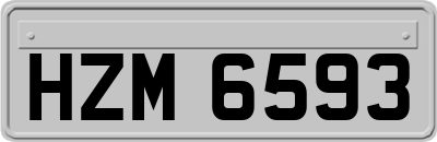 HZM6593