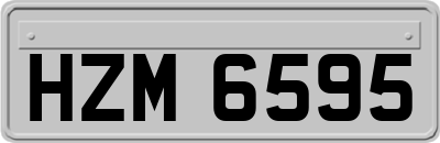 HZM6595
