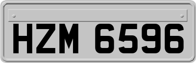 HZM6596