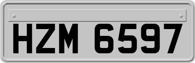 HZM6597