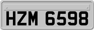 HZM6598