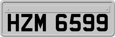HZM6599