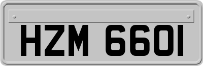 HZM6601