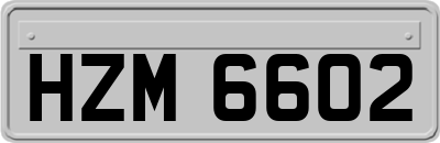 HZM6602