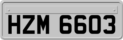 HZM6603