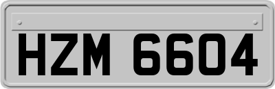HZM6604