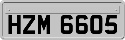 HZM6605