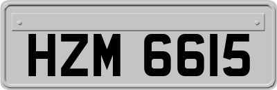 HZM6615