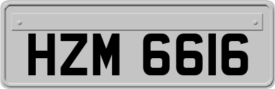 HZM6616