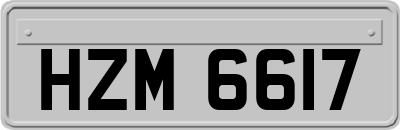 HZM6617