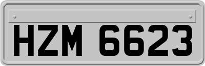 HZM6623