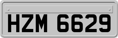 HZM6629
