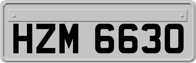 HZM6630