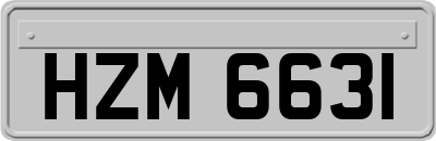 HZM6631