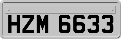 HZM6633