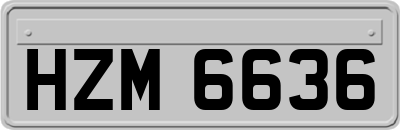 HZM6636