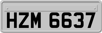 HZM6637
