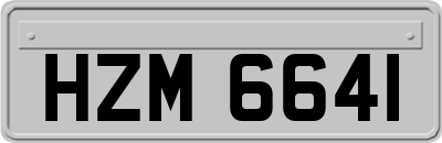HZM6641