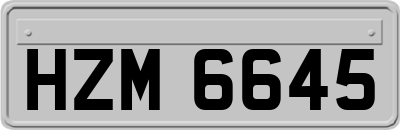 HZM6645